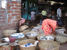 calangute fish market