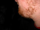 ginger beard- case study a